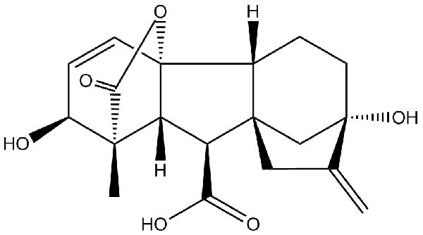 赤霉素GIBBERELLIC ACID，居然有這么神奇？